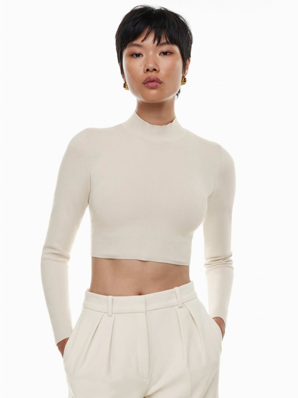 ARITZIA | Babaton Sculpt Knit Level Turtleneck